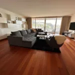 Apartamento T5, rio douro, porto